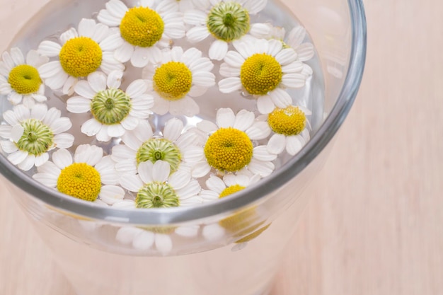 fleurs de camomille dans un verre d'eau, vue de dessus