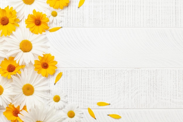 Des fleurs de camomille sur fond de bois