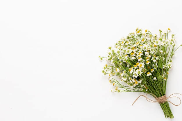 Photo fleurs de camomille framee floral vue de dessus mise à plat