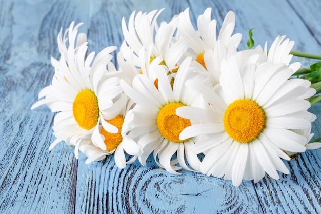 Fleurs de camomille marguerite sur table de jardin en bois