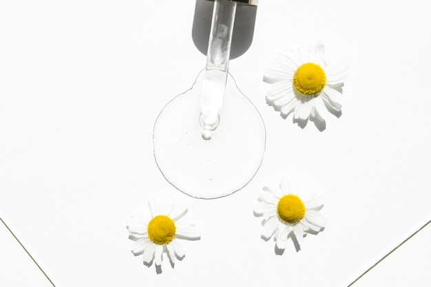 Fleurs de camomille sur un tableau blanc avec une pipette en verre et une homéopathie liquide cosmétique à base de plantes