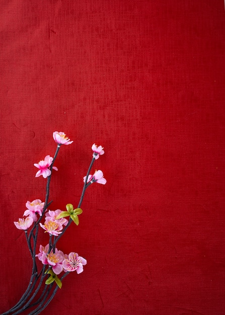 Fleurs de cerisier sur papier rouge