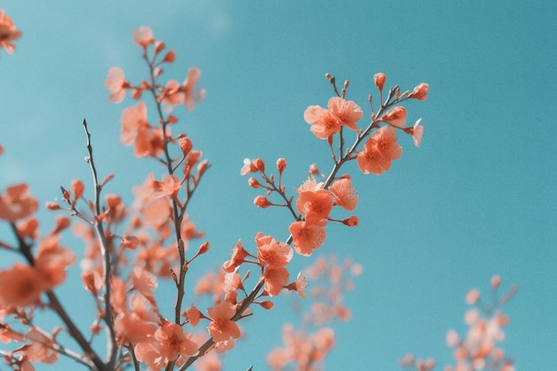 Fleurs de cerisier roses sur ciel bleu clair aigenerated artwork