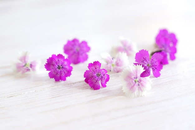 Fleurs de Chamaenerion sur un fond en bois blanc