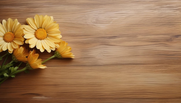 Des fleurs de chrysanthème jaunes sur fond de bois avec un espace de copie