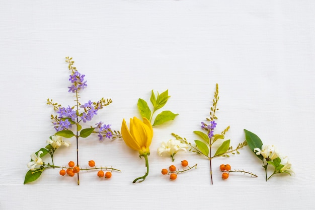 fleurs colorées arrangement d'ylang ylang style carte postale à plat