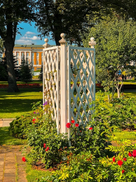 Fleurs colorées dans les jardins du Kremlin de Moscou.