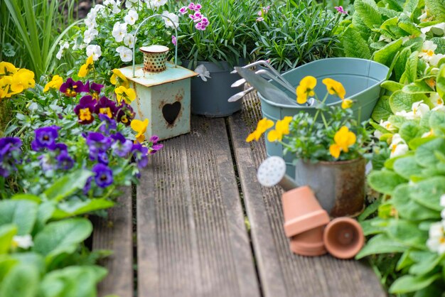 Photo fleurs colorées en fleurs et disposées sur une terrasse en bois avec des pots de fleurs décoratifs et une lanterne