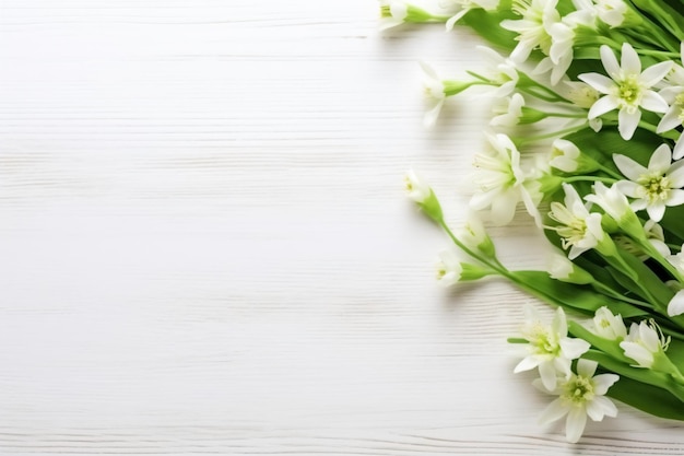 fleurs colorées sur un fond en bois blanc