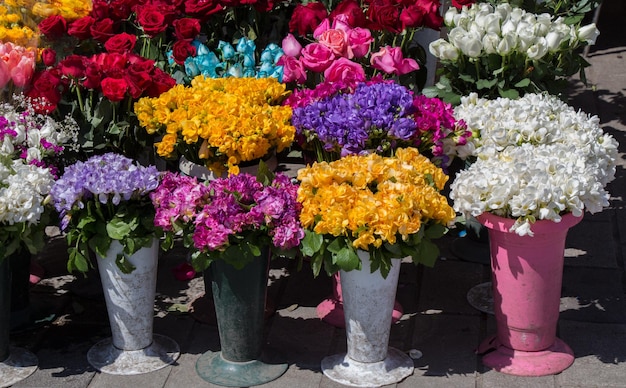 Fleurs colorées fraîches mises dans des vases