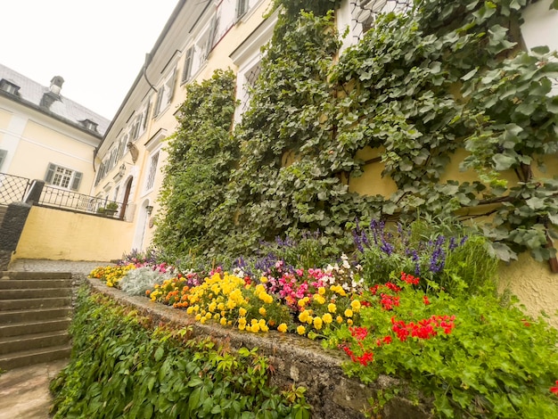 Les fleurs colorées sur le mur