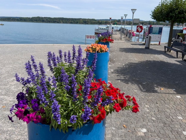 Les fleurs colorées à une station de bateau