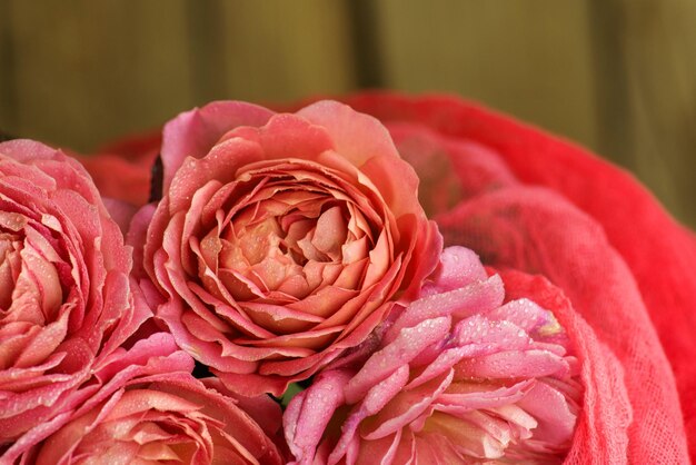 Photo fleurs colorées sur une table belles fleurs sur une table en bois fond rose rose