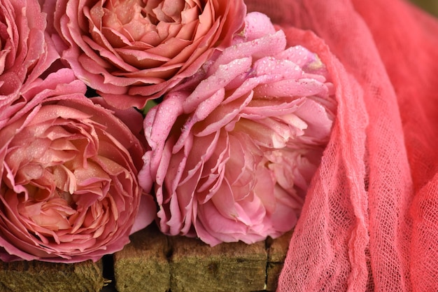 Fleurs colorées sur une table Belles fleurs sur une table en bois Fond rose rose