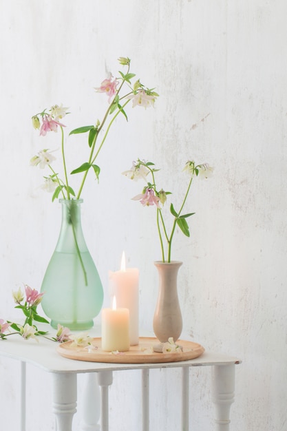 Fleurs de Columbine dans un vase sur fond de mur blanc