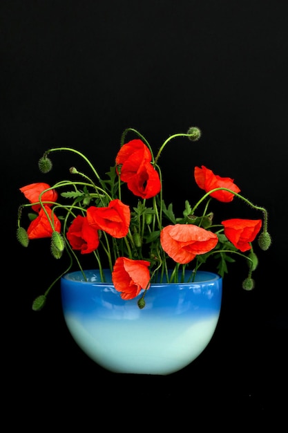 Photo fleurs de coquelicots rouges sur un vase isolé sur fond noir photo d'ambiance sombre