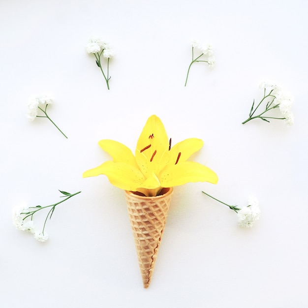 Fleurs cornes de lis jaune pour la crème glacée et fleurs blanches gypsophila autour sur un fond blanc.