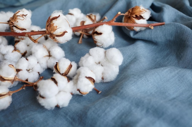 Fleurs en coton blanc sur tissu bleu turquoise