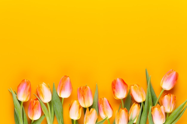 Fleurs de couleur pastel jaune sur fond jaune.En attendant le printemps. Joyeuses Pâques. Mise à plat, vue de dessus. Copiez l'espace.