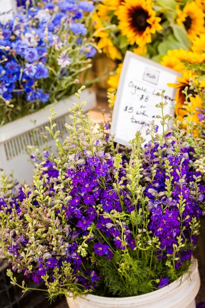 Fleurs coupées fraîches en vente sur le marché de producteurs locaux.