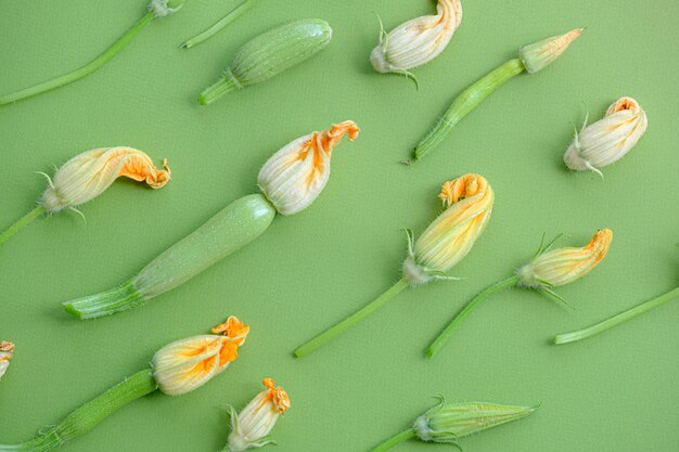 Photo fleurs de courgettes à différents degrés de divulgation