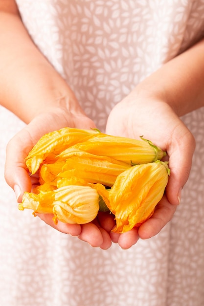 fleurs de courgettes fraîches dans les mains