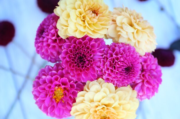 Fleurs de dahlia dans un vase sur la surface de la table