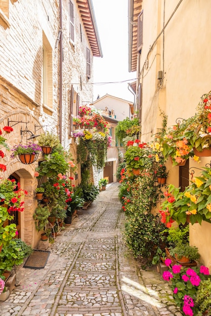 Fleurs dans l'ancienne rue située dans le village de Spello Région Ombrie Italie