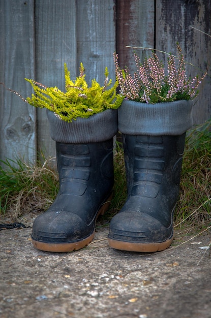 Des fleurs dans des bottes près de la clôture en bois