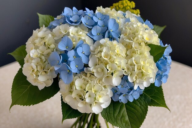 Des fleurs dans un bouquet d'hortensias bleus et de fleurs blanches