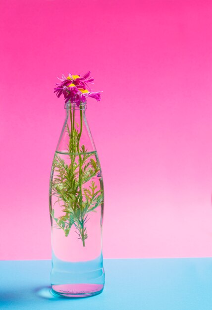 Fleurs dans une bouteille en verre sur une rose