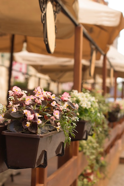 Fleurs dans un café en terrasse