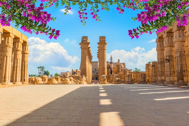 Fleurs dans le carré avec des colonnes dans le temple de Louxor, Egypte