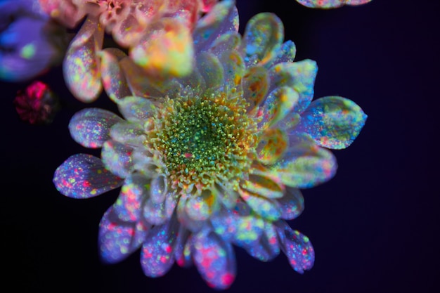 Les fleurs dans les gouttes de peinture brillent dans la lumière ultraviolette. Cosmétiques de beauté naturels
