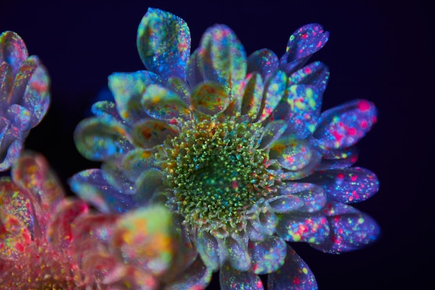 Les fleurs dans les gouttes de peinture brillent dans la lumière ultraviolette. Cosmétiques de beauté naturels