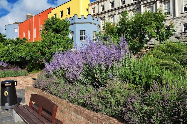 Fleurs dans le jardin de l'ancien château, Dublin, Irlande