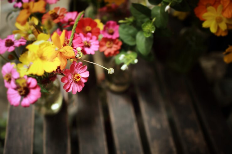 Photo fleurs dans le jardin. flou et couleur tonique.