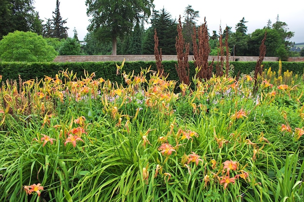 Fleurs dans les jardins et la maison de Powerscourt, Dublin, Irlande