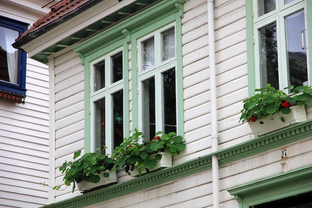 Fleurs dans la maison vintage de la ville de Bergen Norvège