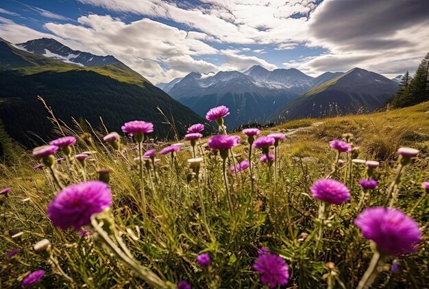 fleurs dans les montagnes dans les stps dans le style de violet et d'émeraude