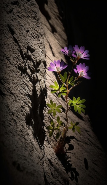 Fleurs dans un mur