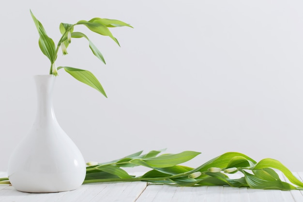 Fleurs dans un vase sur fond blanc