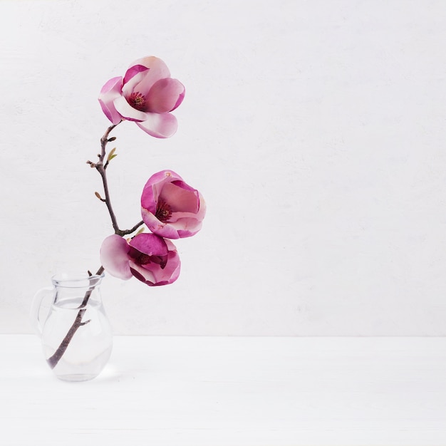 Photo fleurs dans un vase