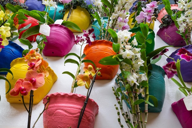 Fleurs dans des vases de plusieurs couleurs