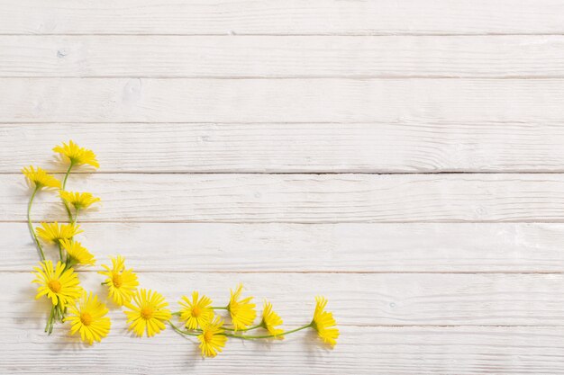 Fleurs de Doronicum sur bois peint