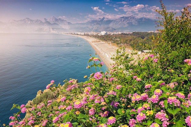 Fleurs épanouies avec la célèbre plage de Konyaalti en arrière-plan Destinations de voyage de la Turquie et d'Antalya et de la Riviera méditerranéenne au printemps