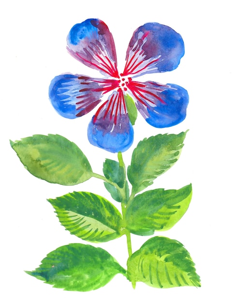 Fleurs épanouies. Peinture à l'aquarelle