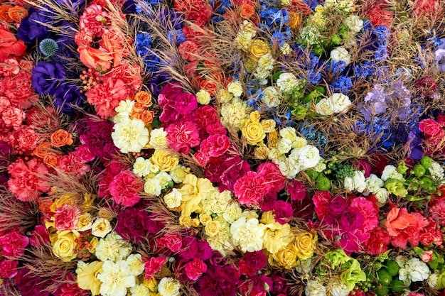 Fleurs d'été colorées. Vue de dessus