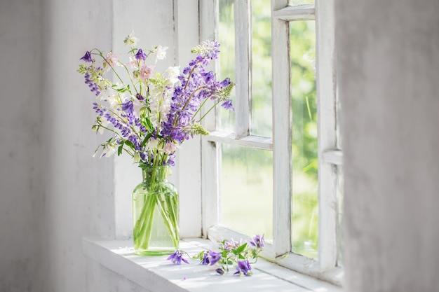 Fleurs d'été dans un vase sur le rebord de la fenêtre au soleil