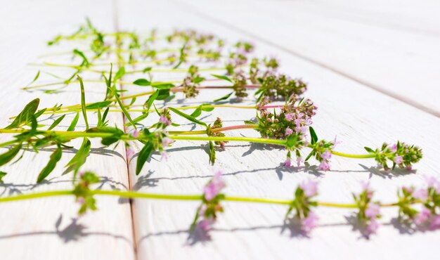 Photo fleurs d'été fond en bois